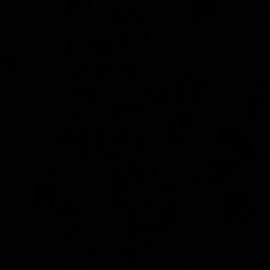 Meet your Posher, Jose